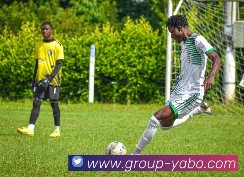 亚博体育APP 封面图