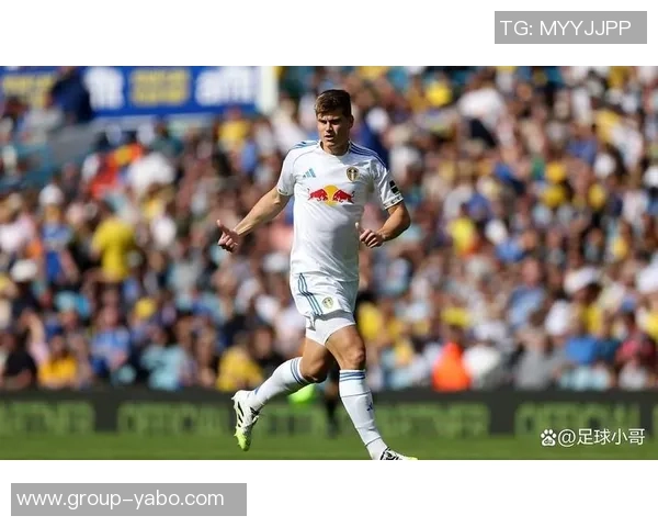 利兹联球迷两度向热刺球员投掷物品或将遭遇高额罚款 利兹联球迷两度向热刺球员投掷物品或将遭遇高额罚款